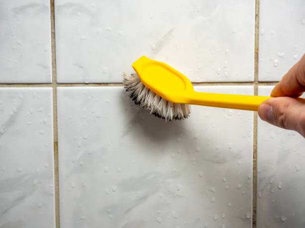 Best Emergency Mold Removal  in Willard, OH